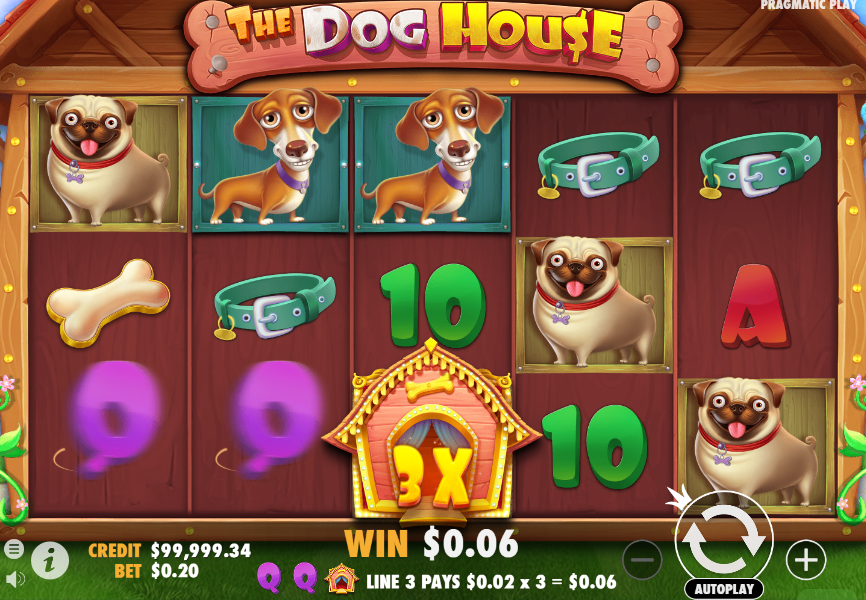 Выигрыш в игровом автомате Dog House